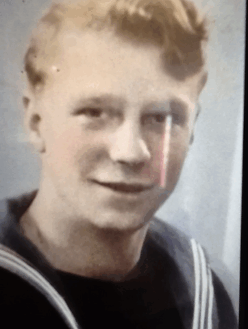 Freeland Stanley Robert